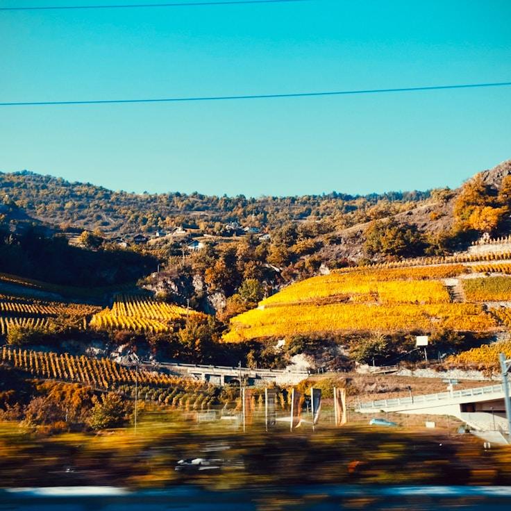 Kids playground area in Germany